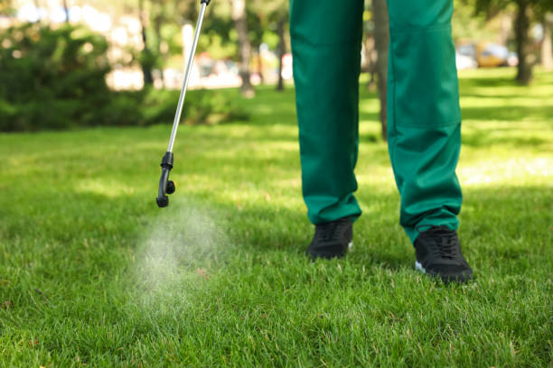 Best Pest Prevention Services  in New Haven, MO