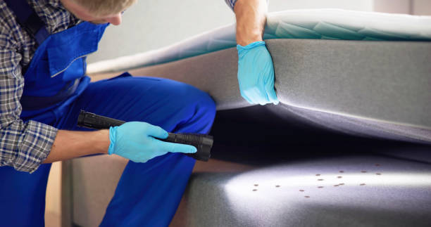 Best Commercial Pest Control Services  in New Haven, MO