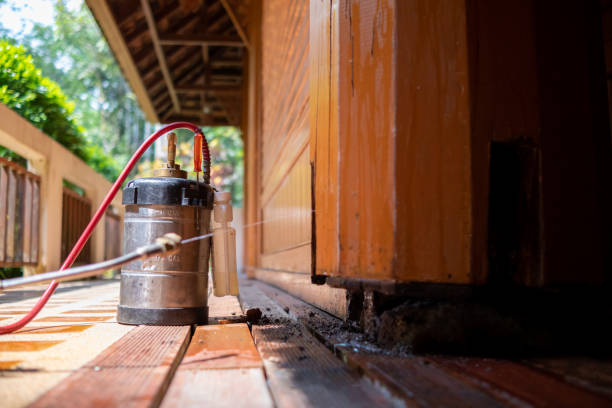 Pest Prevention Services in New Haven, MO