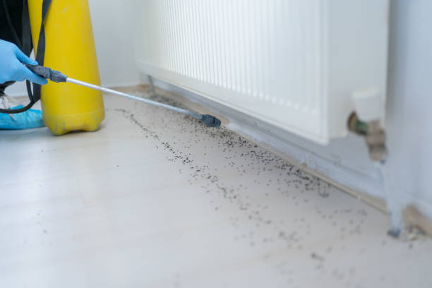 Best Pest Removal Services  in New Haven, MO